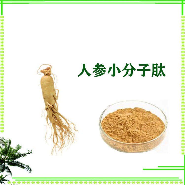 人参多肽 速溶粉 小分子肽 500道尔顿 沃特莱斯生物 可寄样