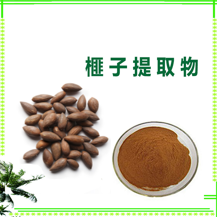 榧子提取物 浸膏粉 速溶粉 喷雾干燥粉 粉末细腻 质量稳定