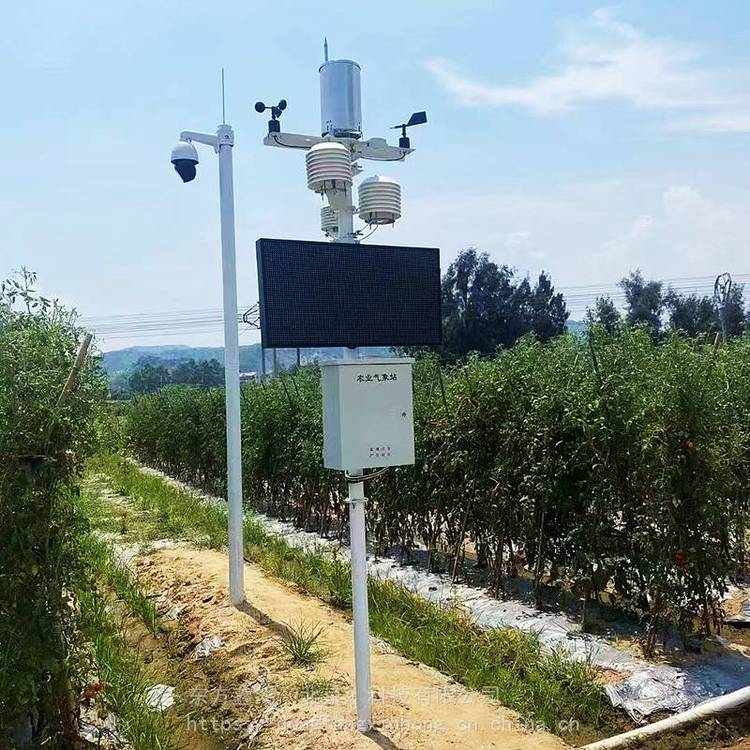 果园环境气象站 4G无线传输 WEB端远程查看数据 东方鑫鸿 DF-GYQ