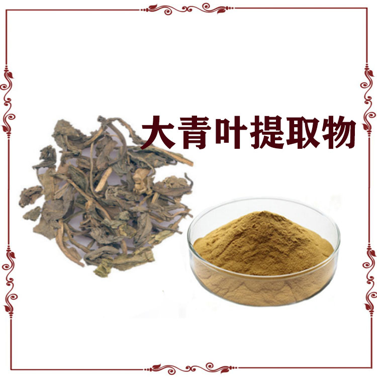 大青叶提取物10:1 萃取粉 大青叶浸膏粉 多种规格 可定制