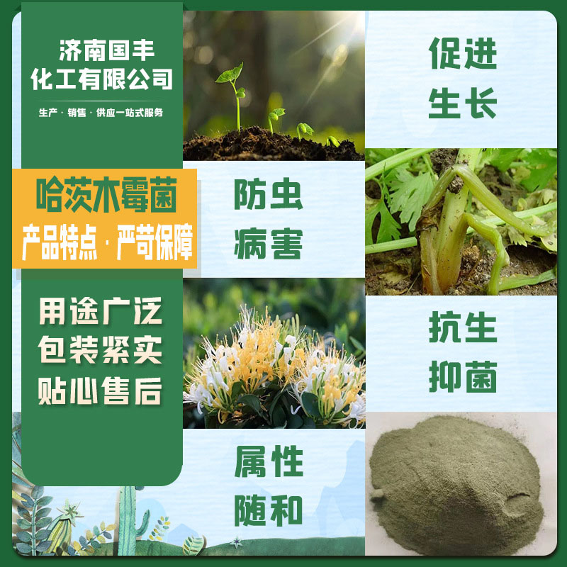 哈茨木霉菌 专业生产厂家-价格实惠