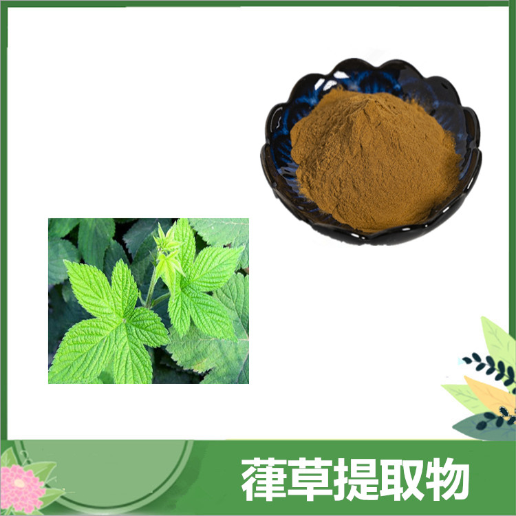 葎草提取物10:1比例葎草粉 拉拉秧/割人藤浓缩萃取 水溶性原料 免费发样