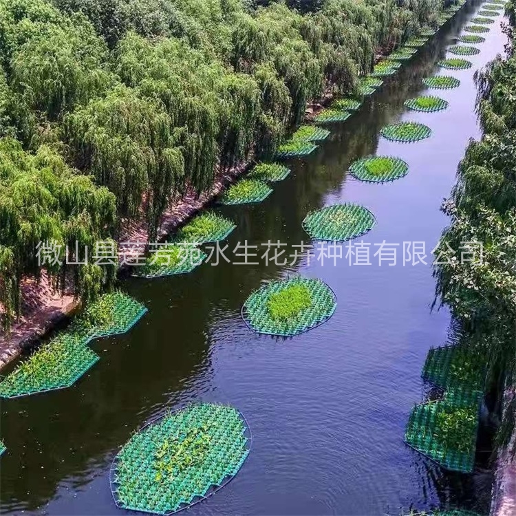 莲芳苑聚酯纤维浮岛生态浮岛-专业生产厂家-价格实惠
