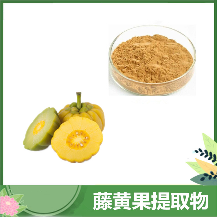 藤黄果提取物 30:1/50:1藤黄果粉 羟基柠檬酸 瘦瘦果/罗望子萃取 量大从优
