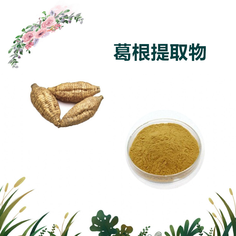沃特莱斯生物 葛根提取物 萃取粉 水溶性粉末 1公斤起订 可寄样