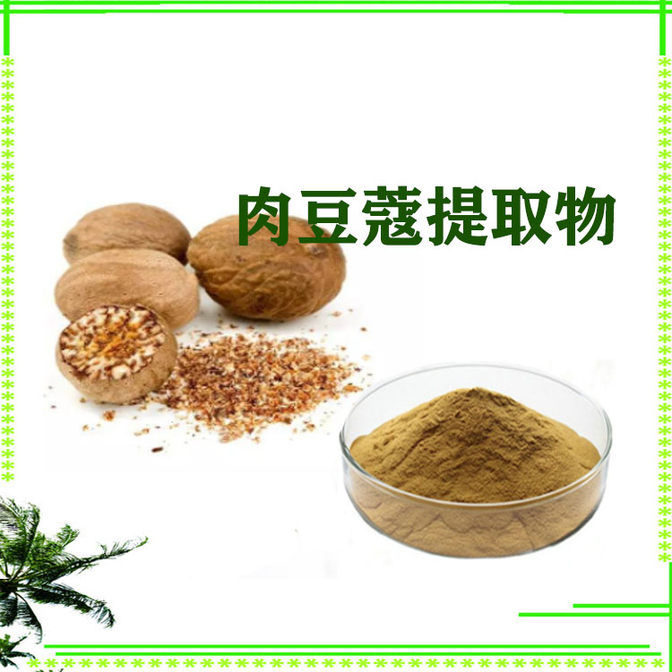 肉豆蔻提取物 速溶粉 浸膏粉 原粉 120目精细粉末 可寄样