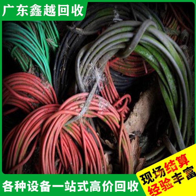 低压电缆回收 化工厂设备回 收 持证上岗 多年经验