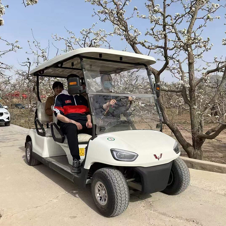 高性能高尔夫球场高尔夫球车，五菱制造。多种车型供能选择