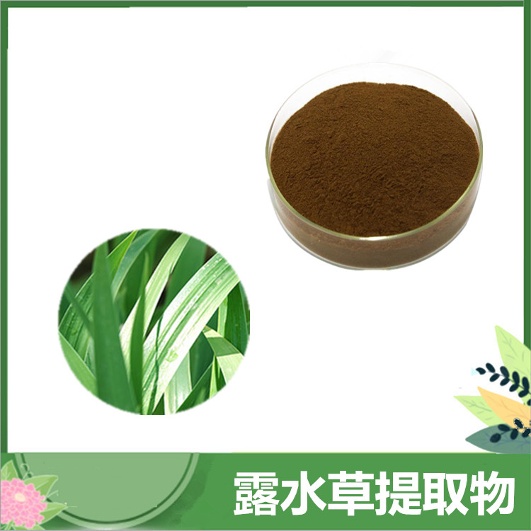 蜕皮甾酮 50%露水草提取物 beta-蜕皮甾酮粉 植提原料 喷雾干燥 可发样