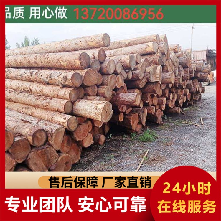 北京河北供应原木林园景观木材木方批发销售加工木材厂