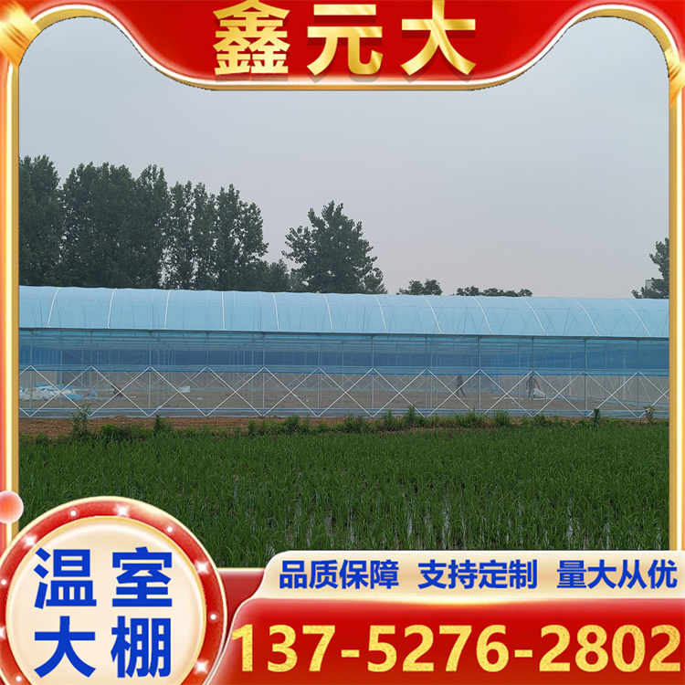 薄膜连栋 智能温室温室 薄膜大棚 农业大棚建设