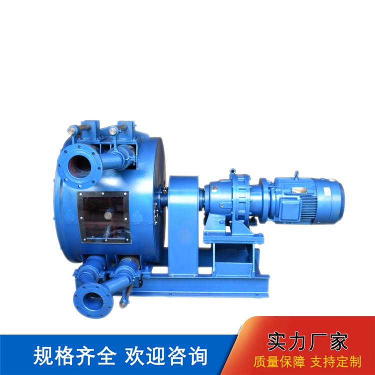 卧式软管泵 挤压泵 食品级浆料输送软管泵