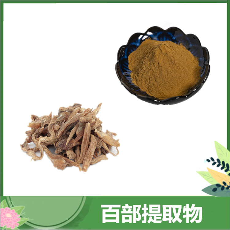 10:1比例百部提取物 百部粉 /百部碱 植提百步/百条根浸膏原料 沃特莱斯订做提取液