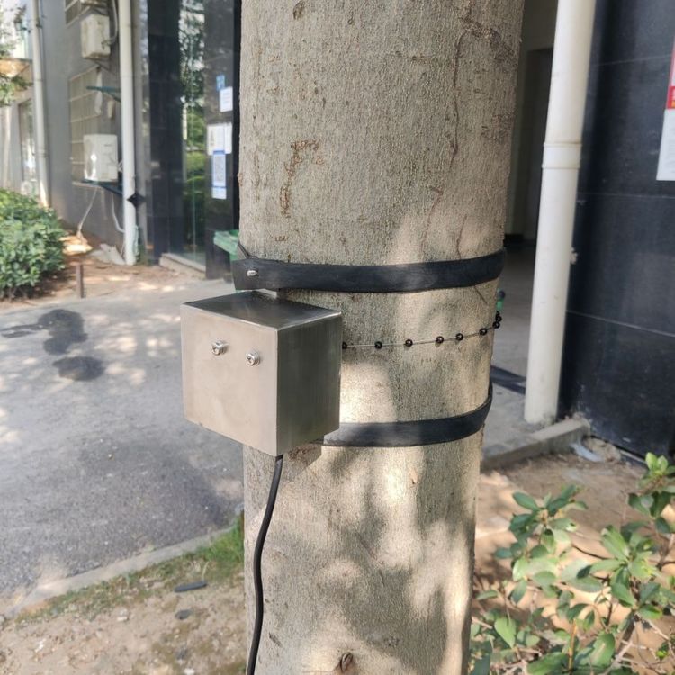 多通道树木直接生长监测系统 DF-SZ40 东方鑫鸿 4G无线 平台查看数据