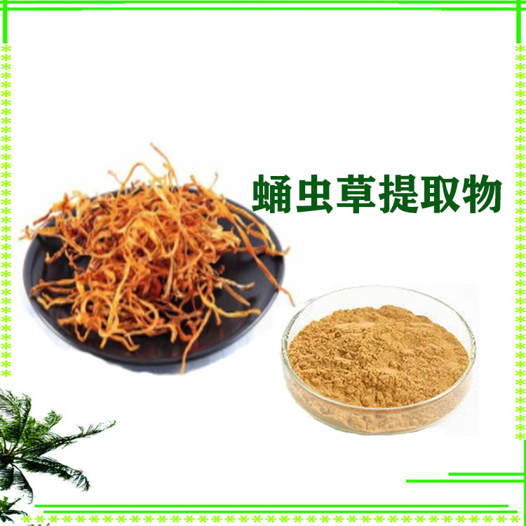 蛹虫草肽 小分子肽 蛹虫草提取物 喷雾干燥粉 大量库存
