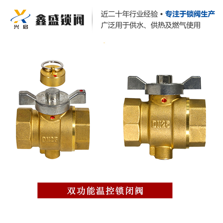 厂家供应各种阀门 管道锁闭阀   燃气自闭阀
