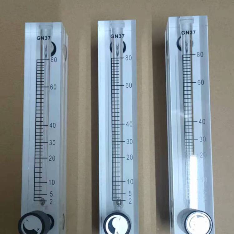 鼎智杰面板式浮子流量计GN37 高精度气体液体测量