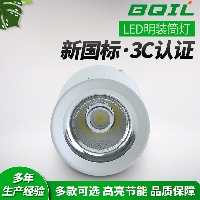 LED隧道灯明装筒灯 消防应急圆形照明灯B型高亮节能筒灯