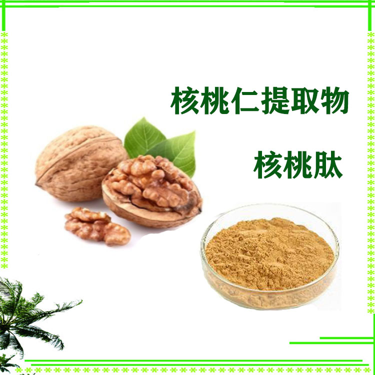 核桃仁提取物 速溶粉 小分子肽 沃特莱斯生物 质量稳定