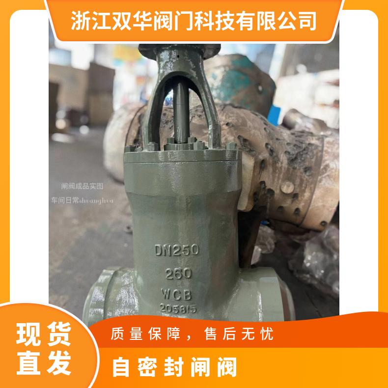 高温高压电动焊接自密封闸阀 铬钼钒钢 双华阀门按需定制