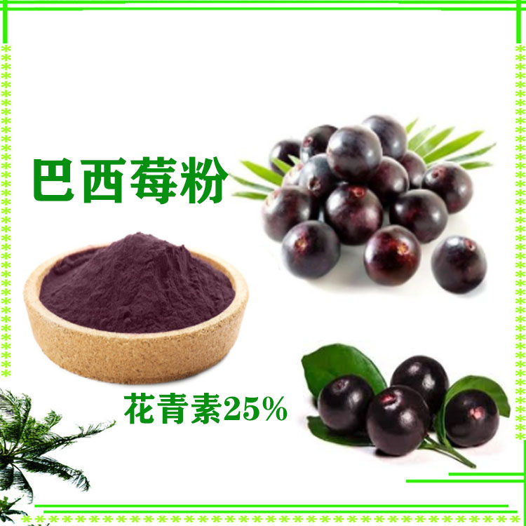 巴西莓粉 提取物 速溶粉 巴西莓果汁粉 大量库存 可寄样