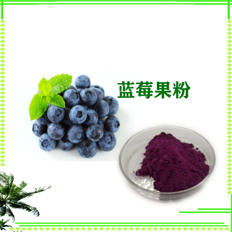 蓝莓粉 蓝莓花青素 速溶粉 提取物 质量稳定 支持拿样