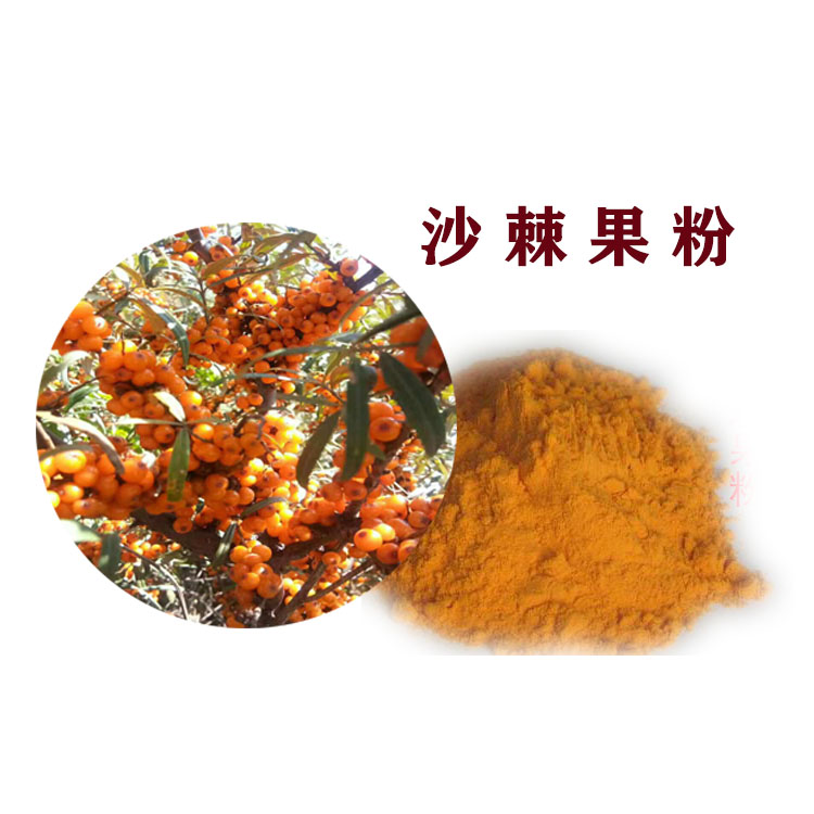 水溶性沙棘果粉 沙棘提取物 沃特莱斯生物 大量库存 可寄样