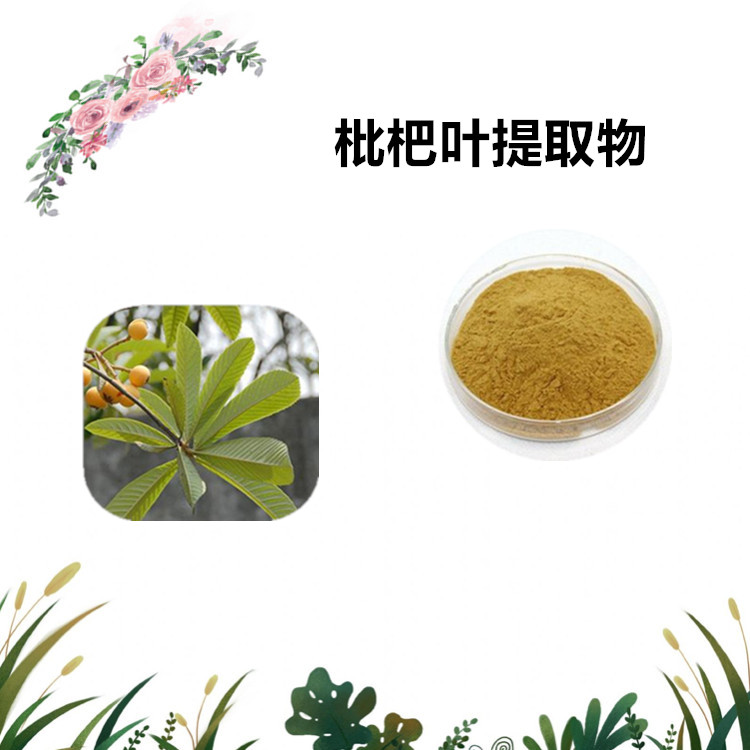 沃特莱斯生物 枇杷叶提取物 萃取粉 浸膏粉 全水溶 1公斤起订