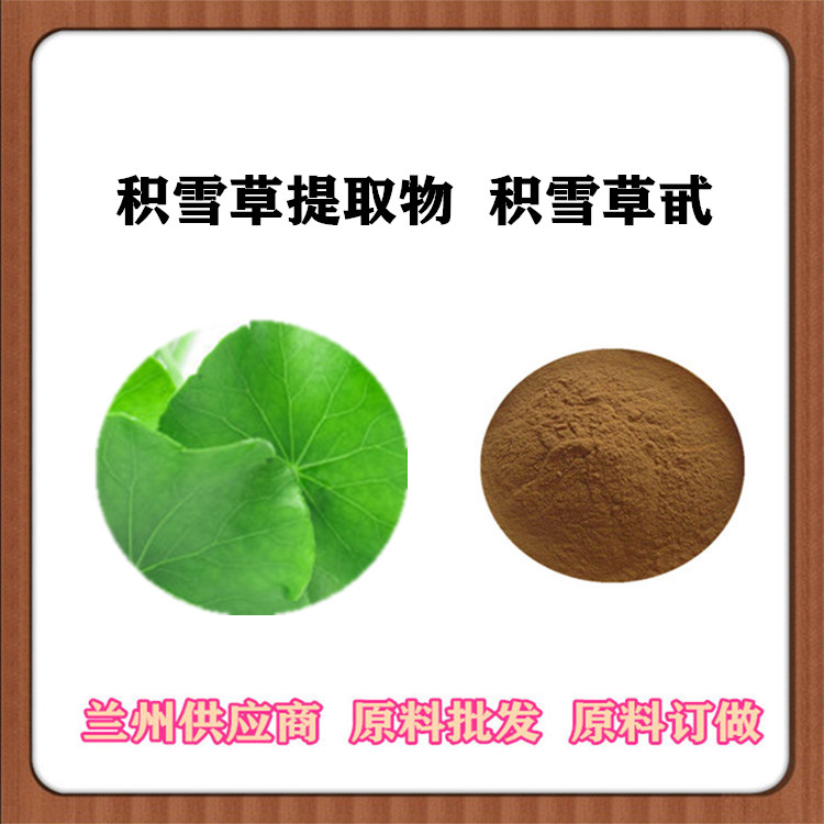 积雪草提取物 10:1萃取积雪草苷 积雪草浓缩粉 铜钱草比例提取物 免费发样