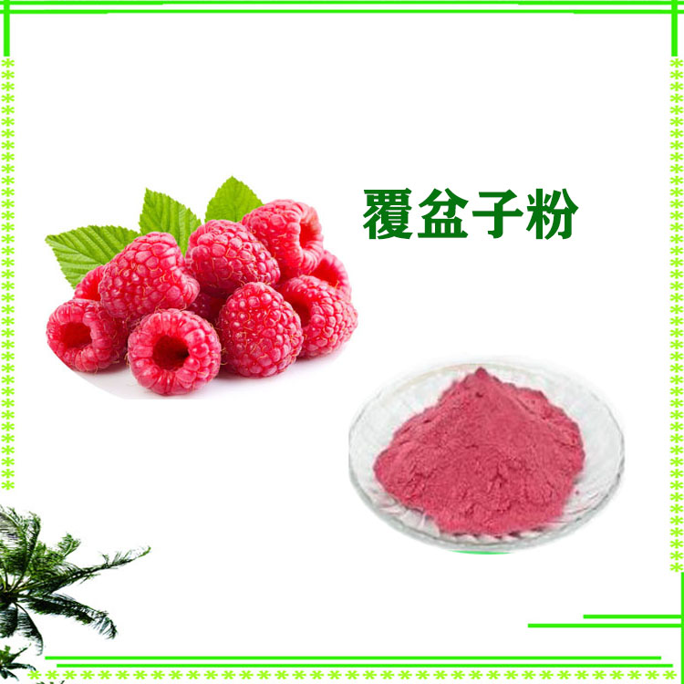 覆盆子提取物 树莓粉 药食同源 速溶粉 提取液 大量库存