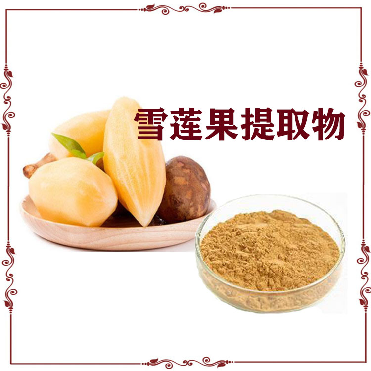 雪莲果粉 速溶粉 雪莲培养物 质量稳定 沃特莱斯生物