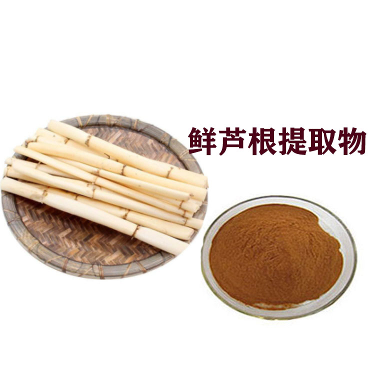 鲜芦根提取物 速溶粉 喷雾干燥粉 粉末细腻 质量稳定