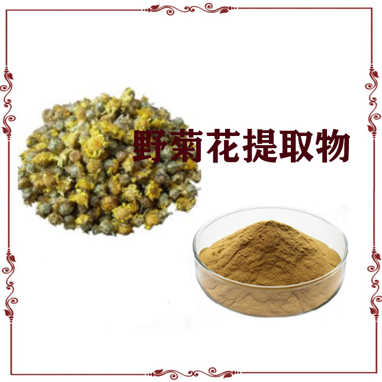 野菊花提取物 速溶粉 菊花黄酮 质量稳定 沃特莱斯生物 可寄样