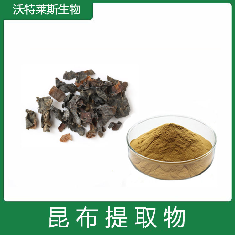 昆布提取物 速溶粉 昆布多糖 多种规格 可定制