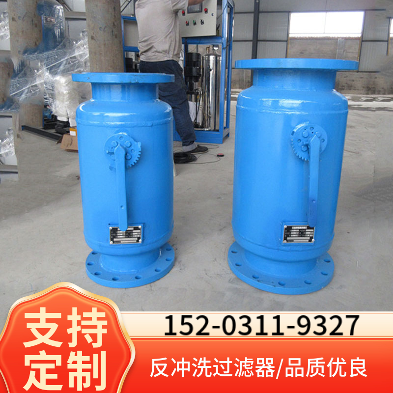 直通式自动排污过滤器 西宁一次网除污器 法兰角通式除污器