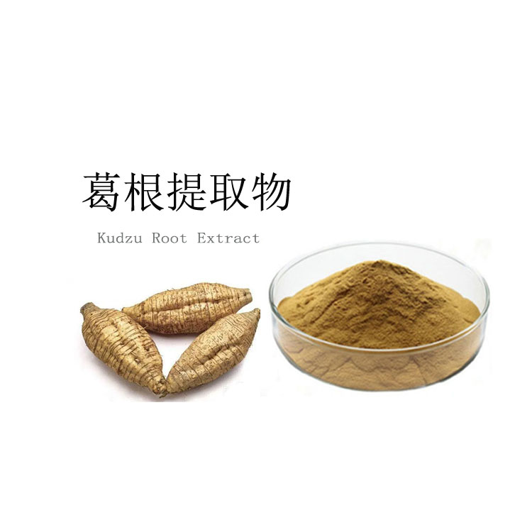 葛根提取物 葛根黄酮 葛根生粉 浸膏粉 质量稳定 库存足