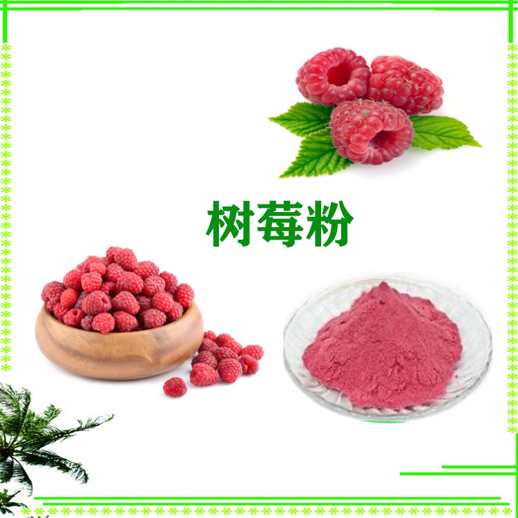 树莓粉 覆盆子果粉 树莓提取物 沃特莱斯生物 质量稳定 可寄样