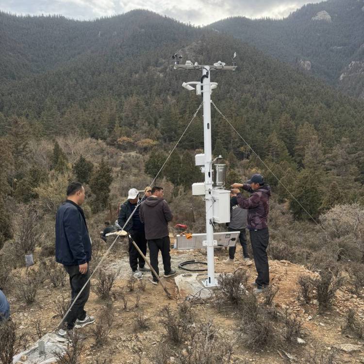 林地气象站/森林气象站 DF-QX 东方鑫鸿 无线传输 太阳能