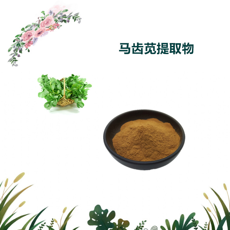 沃特莱斯生物 马齿苋提取物 马齿苋黄酮 萃取粉 多规格订制