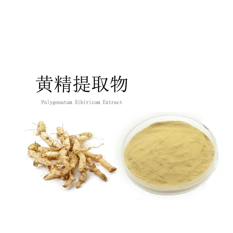 黄精提取物 黄精多糖 喷雾干燥粉 粉末细腻 全水溶