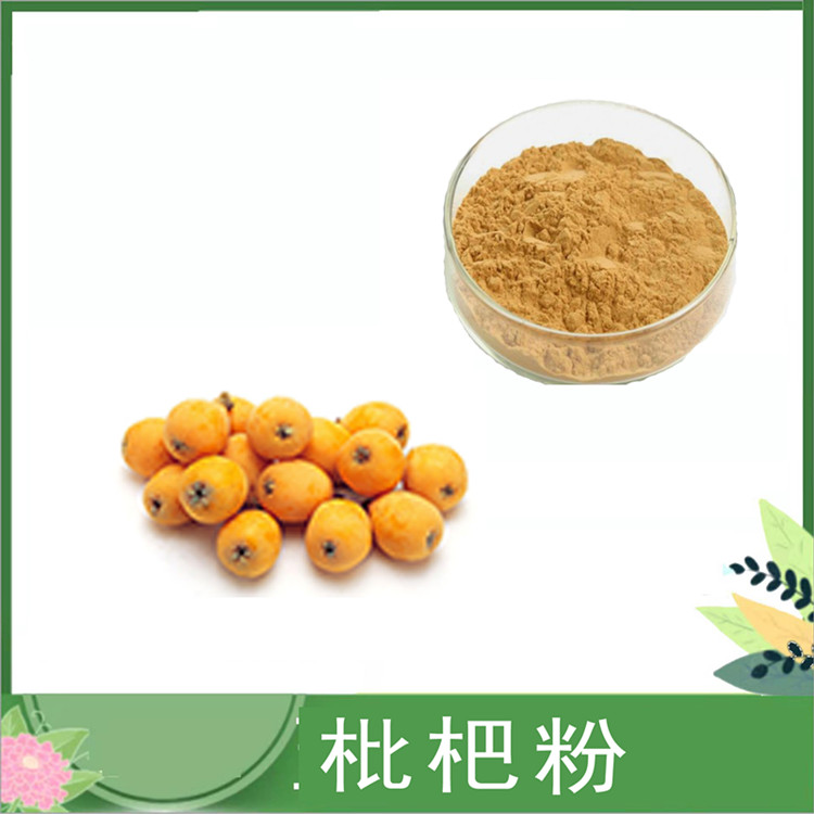 枇杷粉 水溶水果粉 枇杷提取物20:1 代餐烘焙原料 现货琵琶果汁粉 1kg