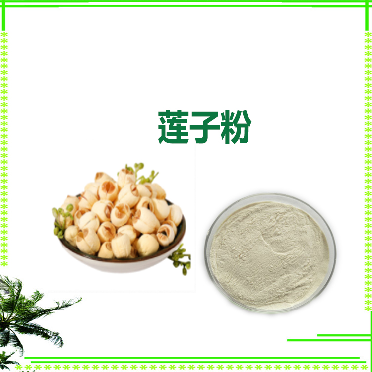 莲子提取物 速溶粉 提取液 莲子生粉 质量稳定 库存充足