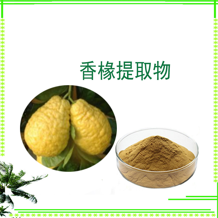 香椽提取物 浸膏粉 喷雾干燥粉 水溶性好 质量稳定