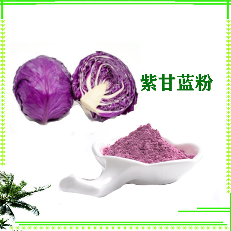 紫甘蓝粉  紫甘蓝花青素 提取物 精细粉末 质量稳定