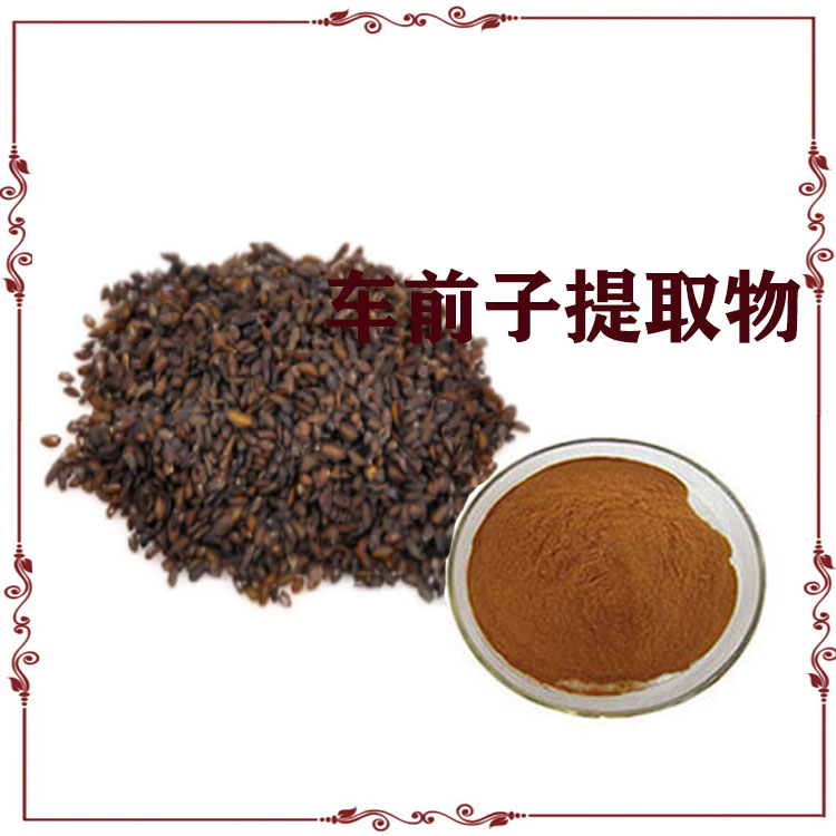 车前子提取物 提取液 速溶粉 质量稳定 支持拿样