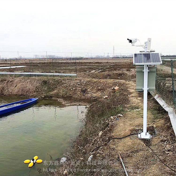水产养殖水质监测系统 东方鑫鸿品牌 DF-SYZ 4G无线传输 五参数