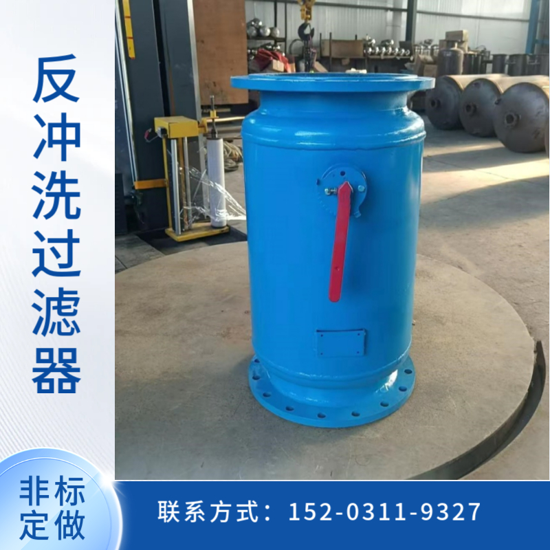 反冲洗除污器哈尔滨   自动排污过滤装置 立式除污设备