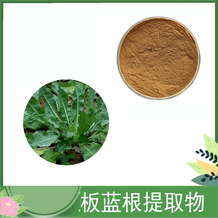 板蓝根提取物 板蓝根粉 10:1规格 菘蓝/靛青根浸膏粉原料 SC厂家现货 供应
