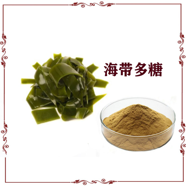 海带多糖 30%  海带粉 昆布提取物 速溶粉 120目精细粉末