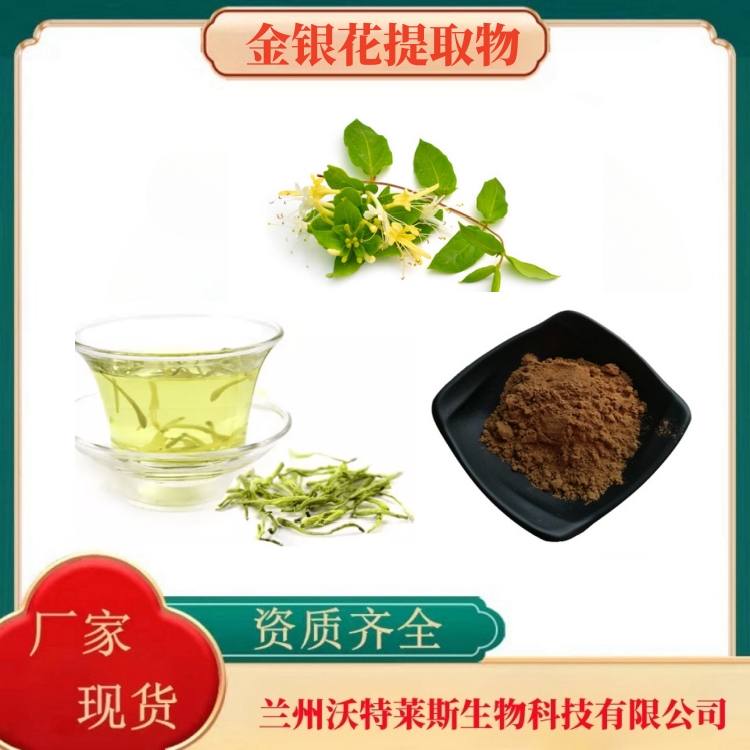 金银花提取物 金银花绿原酸5% 金银花提取液 金银花粉 专业生产 沃特莱斯
